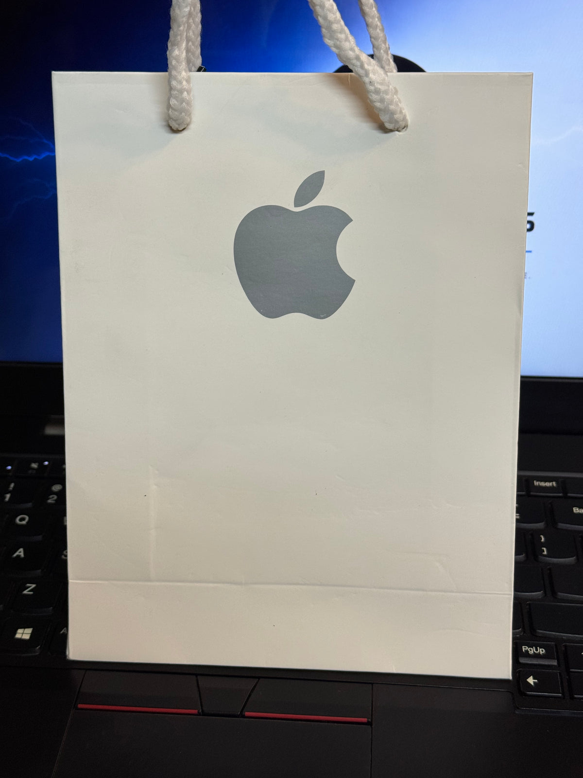 Apple Shopping Bag – Premium Gift Bag